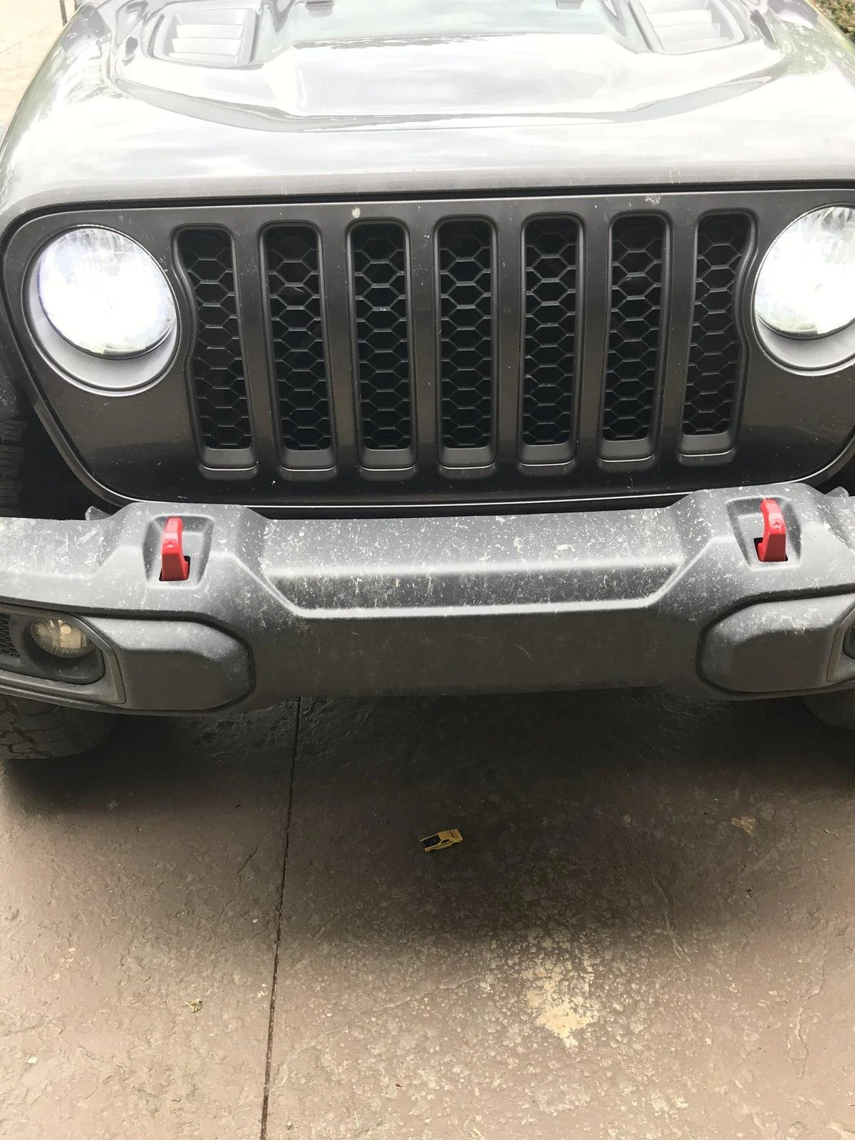Jeep Gladiator -- 2020+ Gladiator Picture Game -- 0F904970-6FD0-4797-BE60-F7F1AEAF79C1