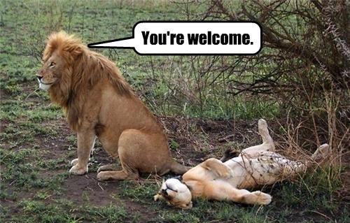 Jeep Gladiator Humor C11C0A5C-A77A-4405-AC38-833B58A69A7E