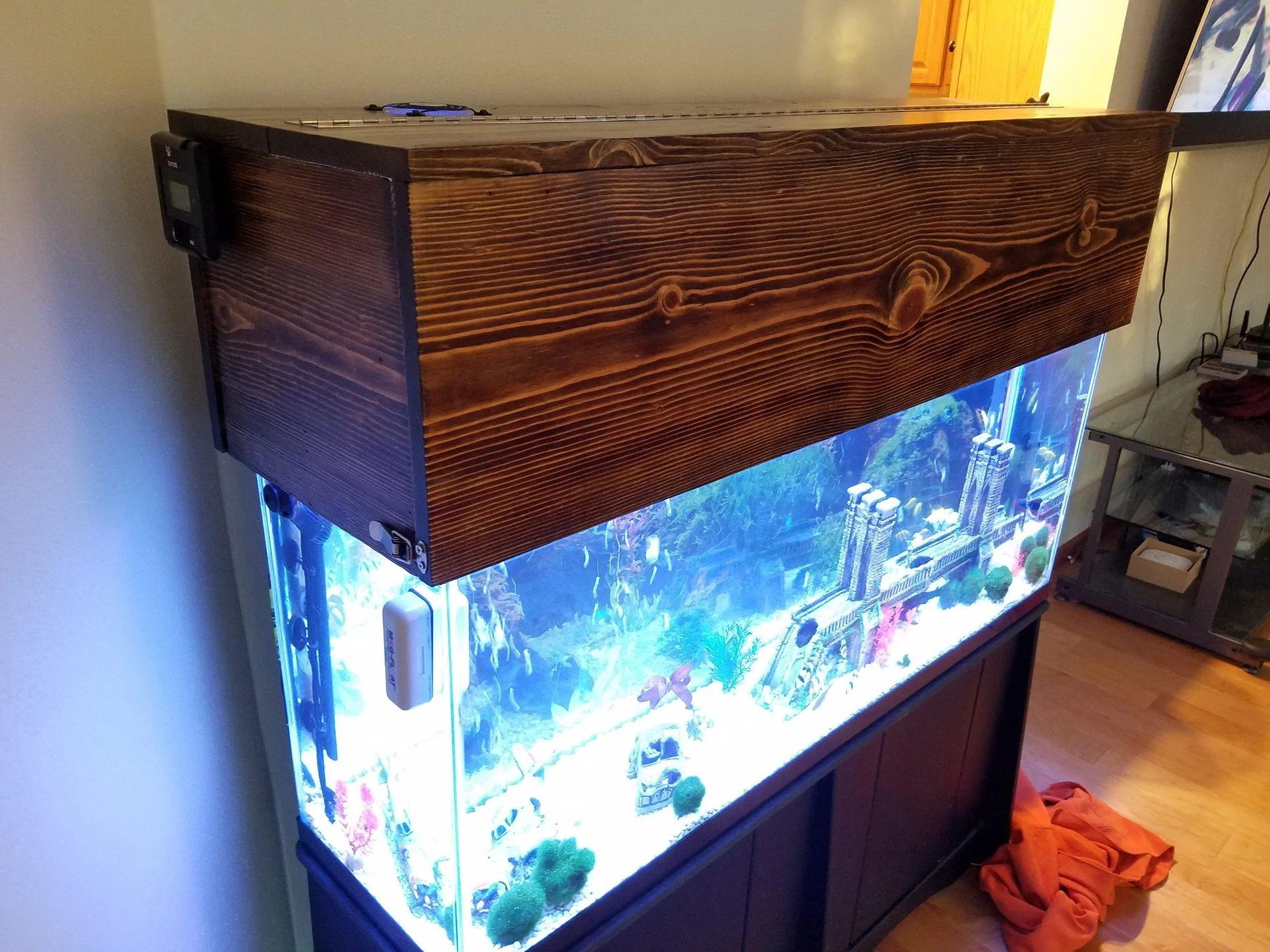 Jeep Gladiator What did you do with plywood today? fish tank to