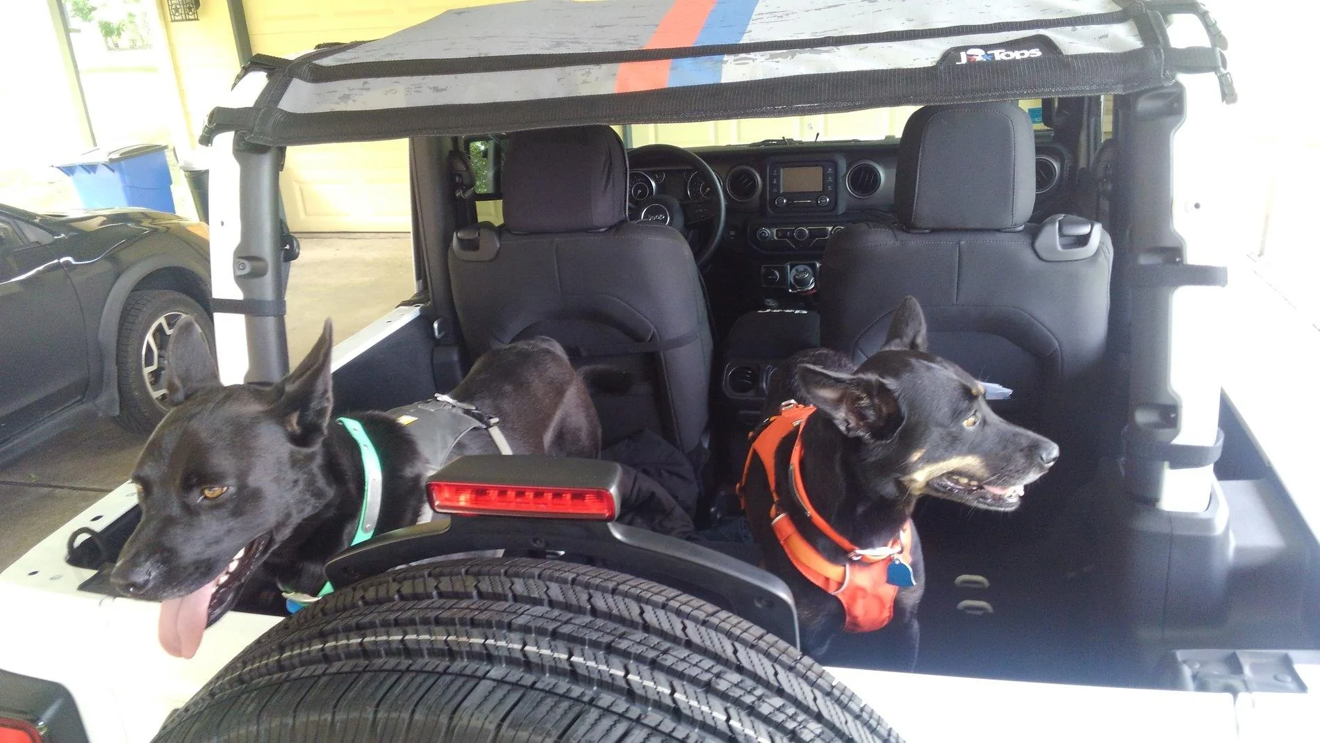 Jeep Gladiator Let’s see your pets cause they are the best companion you can have!!!!! KIMG1460