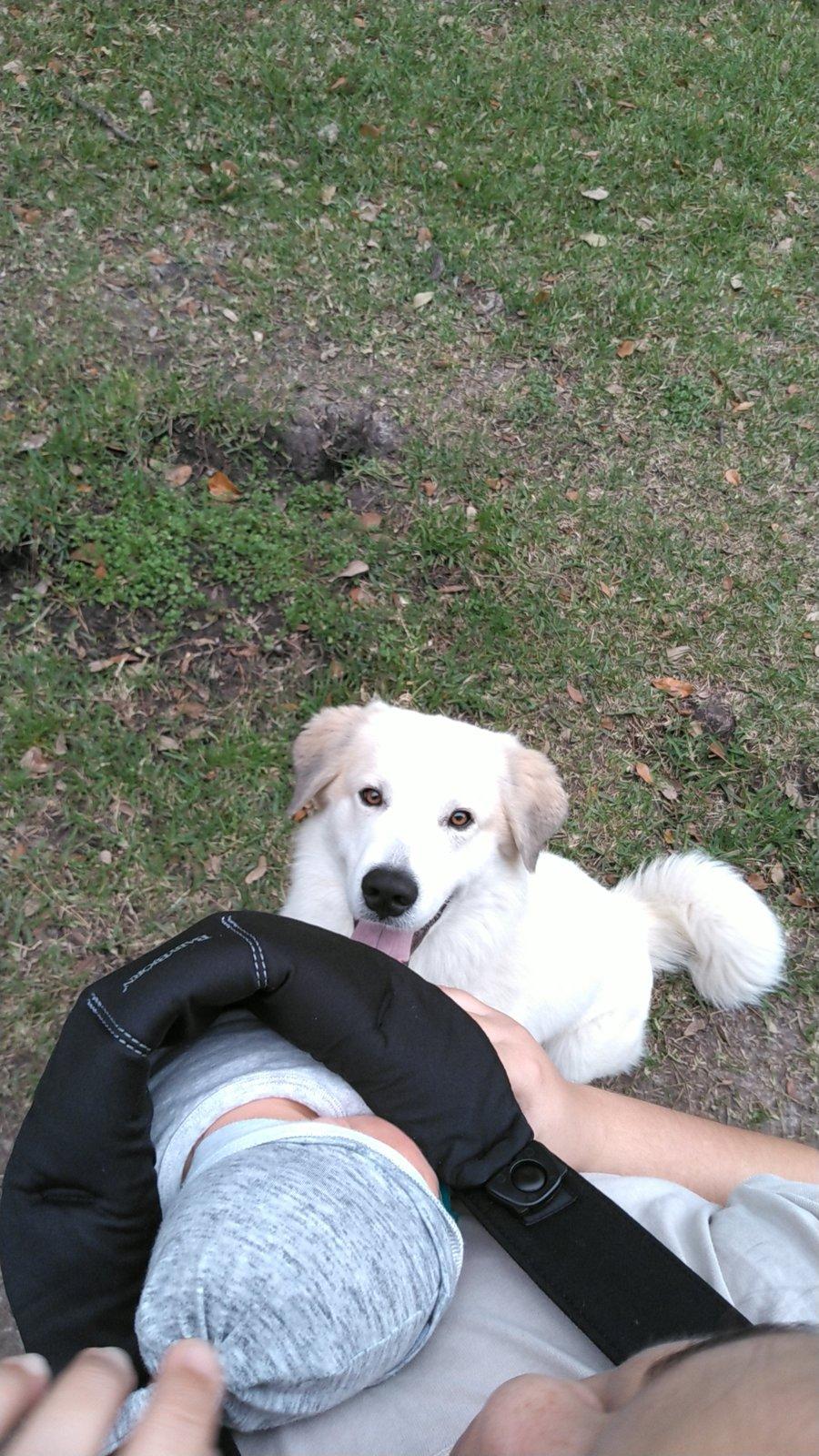 Jeep Gladiator Let’s see your pets cause they are the best companion you can have!!!!! KIMG0120.JPG