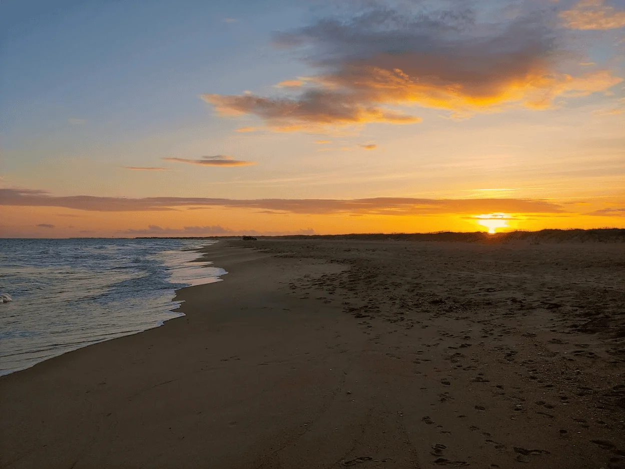 Jeep Gladiator What did you do WITH your Gladiator today? 1595256015577