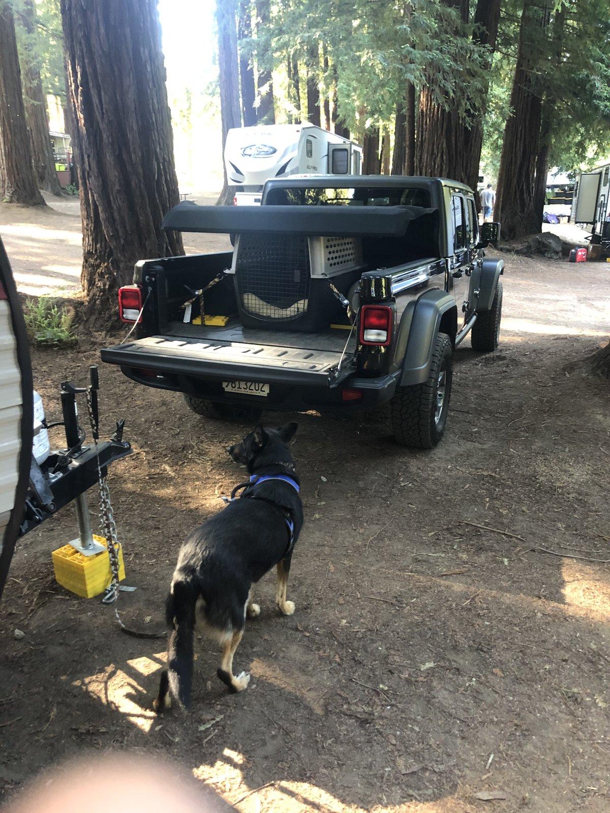Jeep Gladiator What did you do WITH your Gladiator today? 0E013BE6-9073-4B06-8504-6B61A51A387A