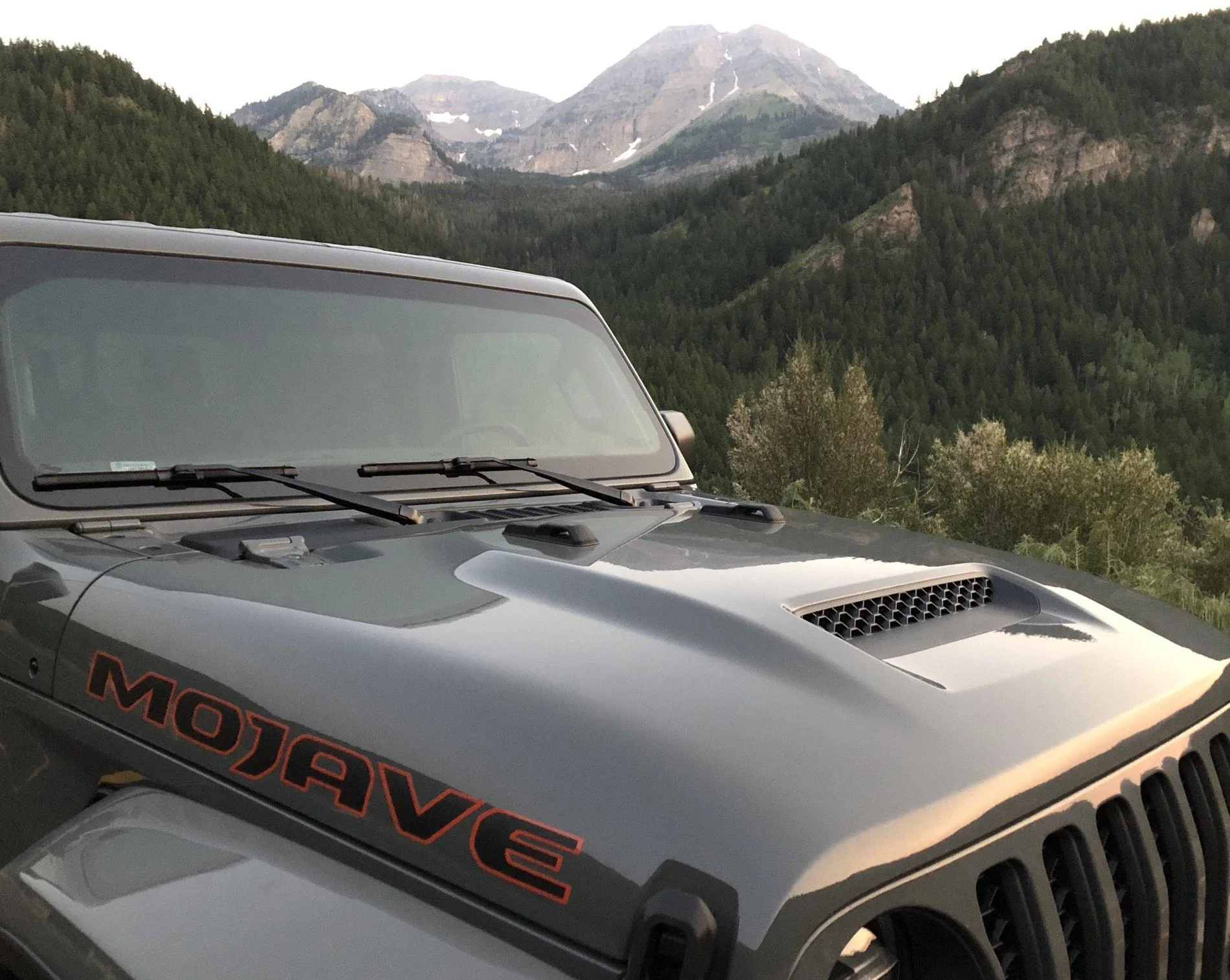 Jeep Gladiator ***Official Mojave Thread*** Lets talk Mojaves 7D318516-06F9-4F5D-BDA1-DA75C069F94A