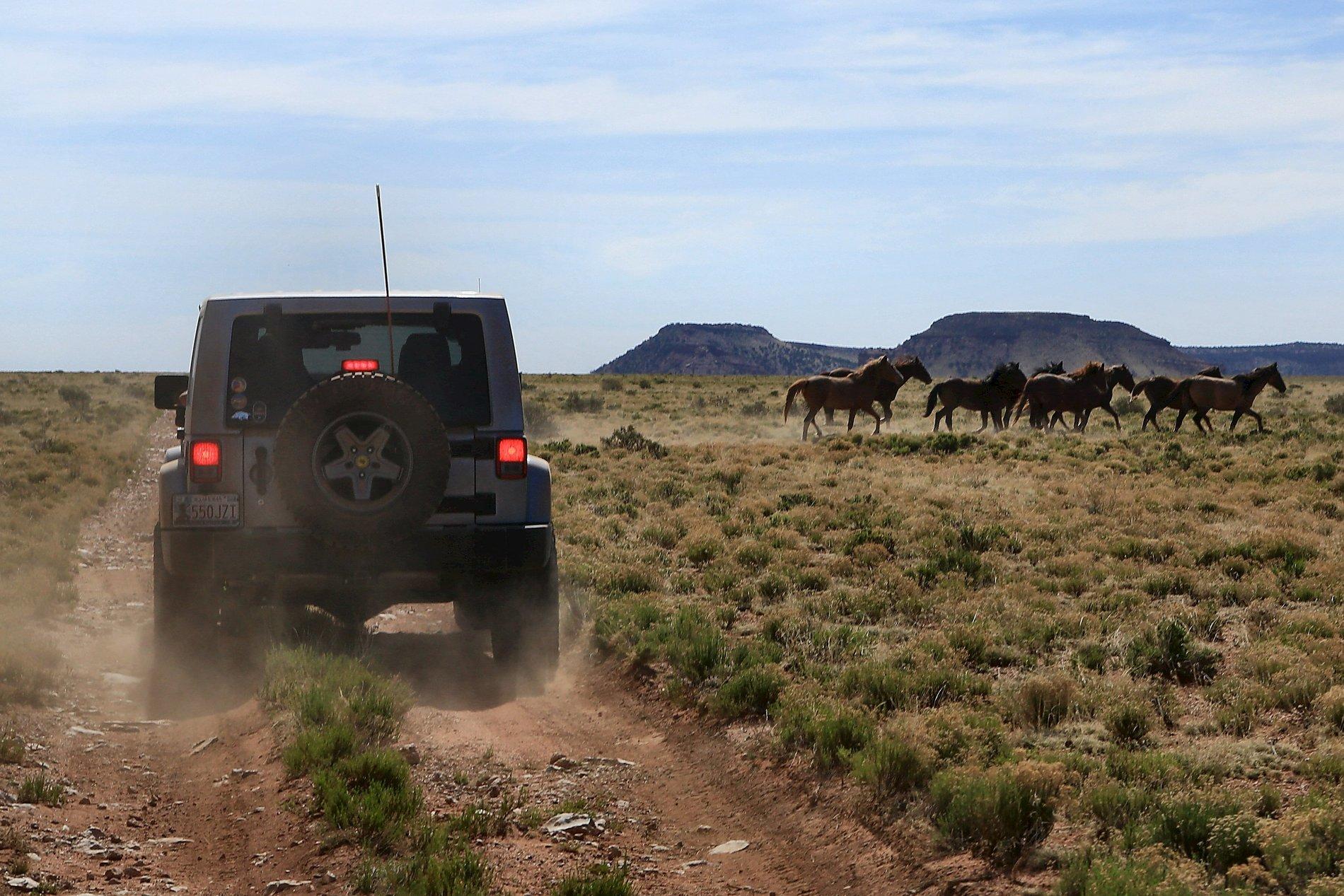 Jeep Gladiator Money shot Arizona Explorations, May 14, 5_2410, Gary's Jeep and Horses