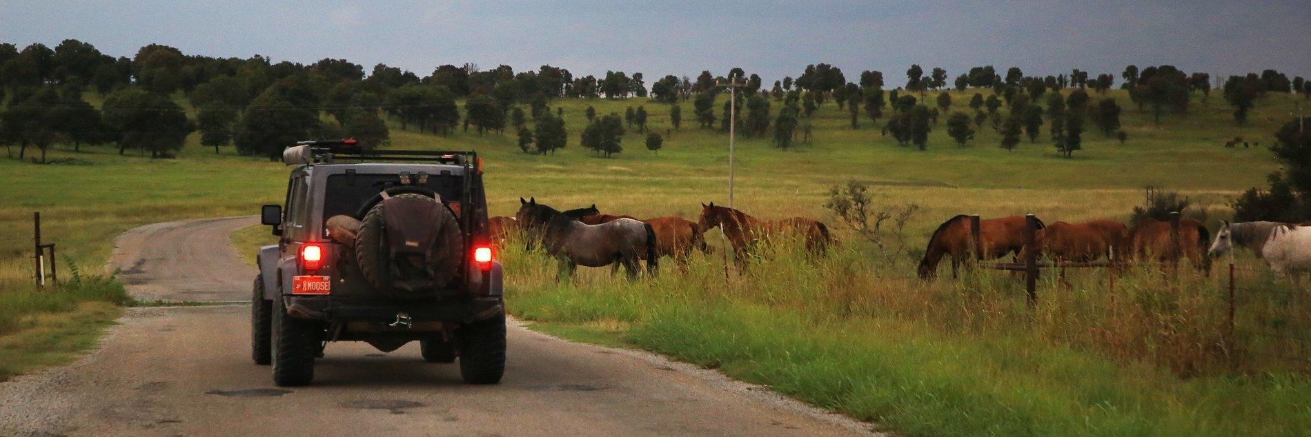 Jeep Gladiator Money shot Solar Eclipse Expedition, Aug 17, 5_9497, Horse Crossin