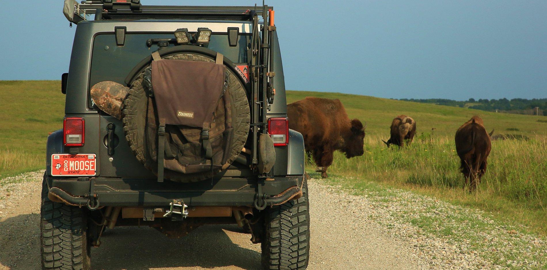 Jeep Gladiator Money shot Solar Eclipse Expedition, Aug 17, 5_9449, Bison Crossin