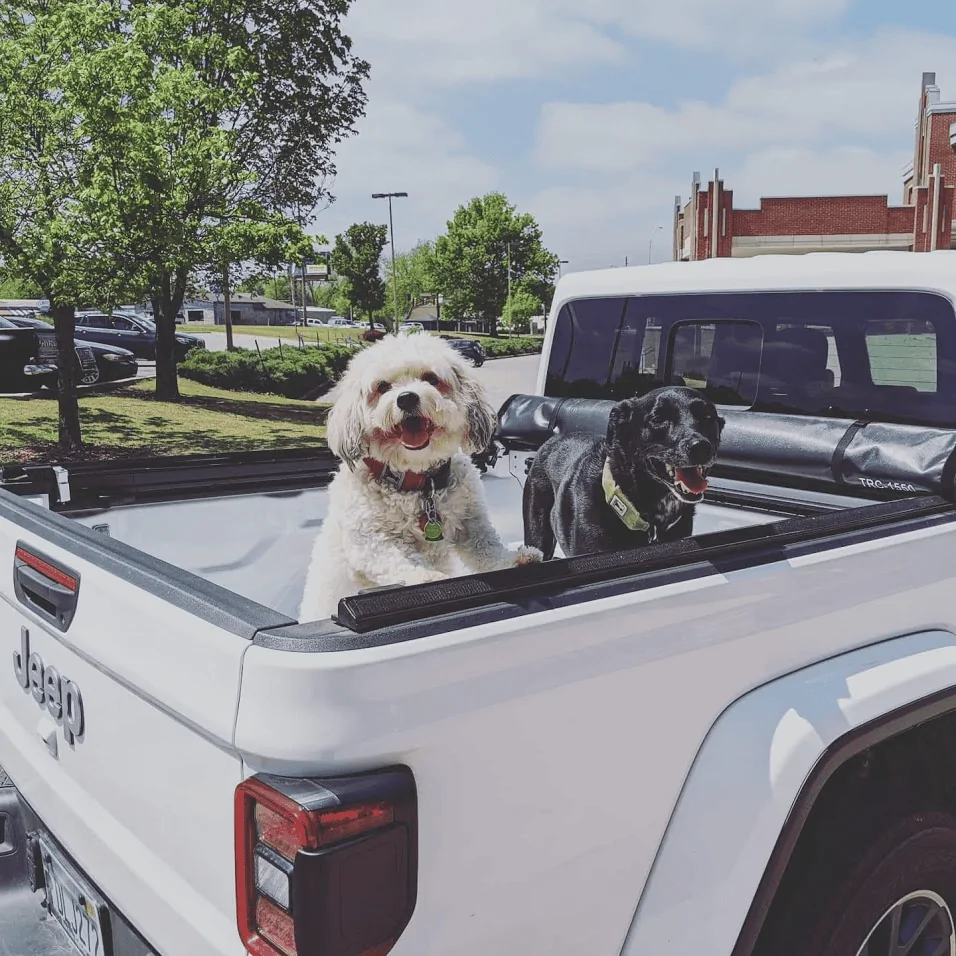 Jeep Gladiator Glad(iator) Dogs! Let's see 'em! 1595511093513