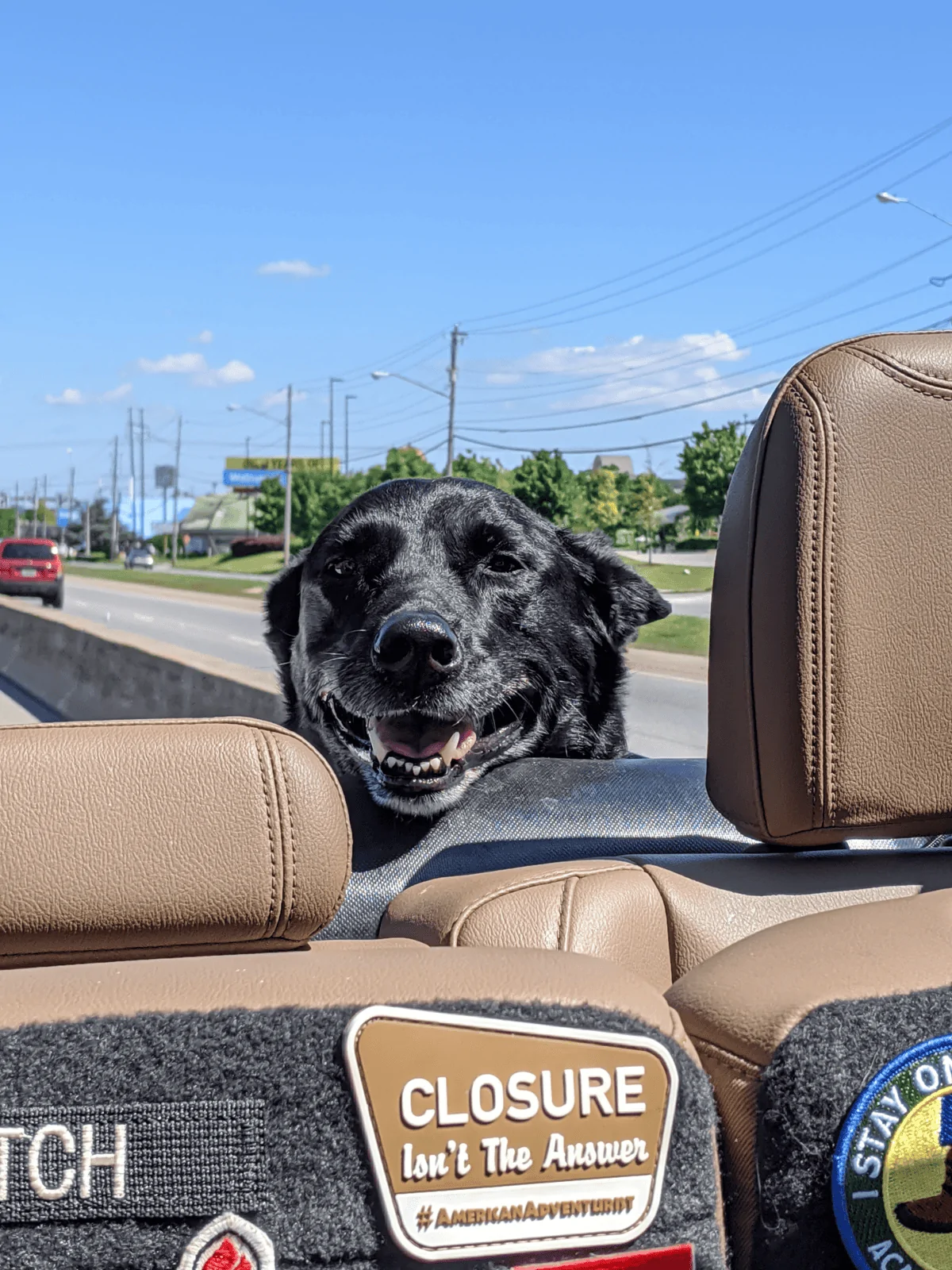 Jeep Gladiator Glad(iator) Dogs! Let's see 'em! 1595511428662