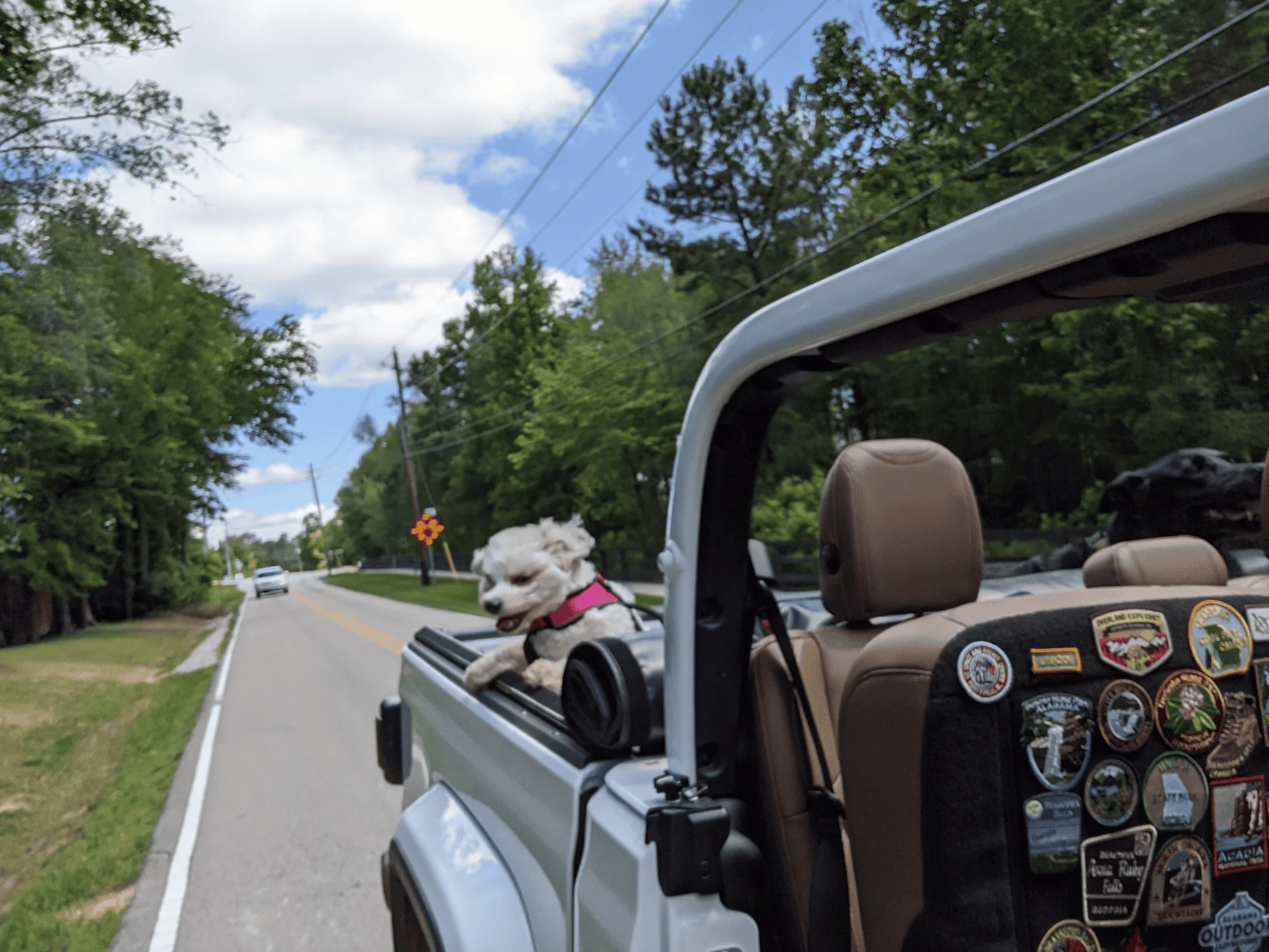 Jeep Gladiator Glad(iator) Dogs! Let's see 'em! 1595511464574