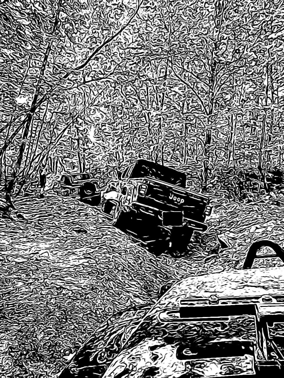 Jeep Gladiator How Does your Gladiator look in black and white photography? B6550128-2353-44DA-9180-82FEA5FA031D
