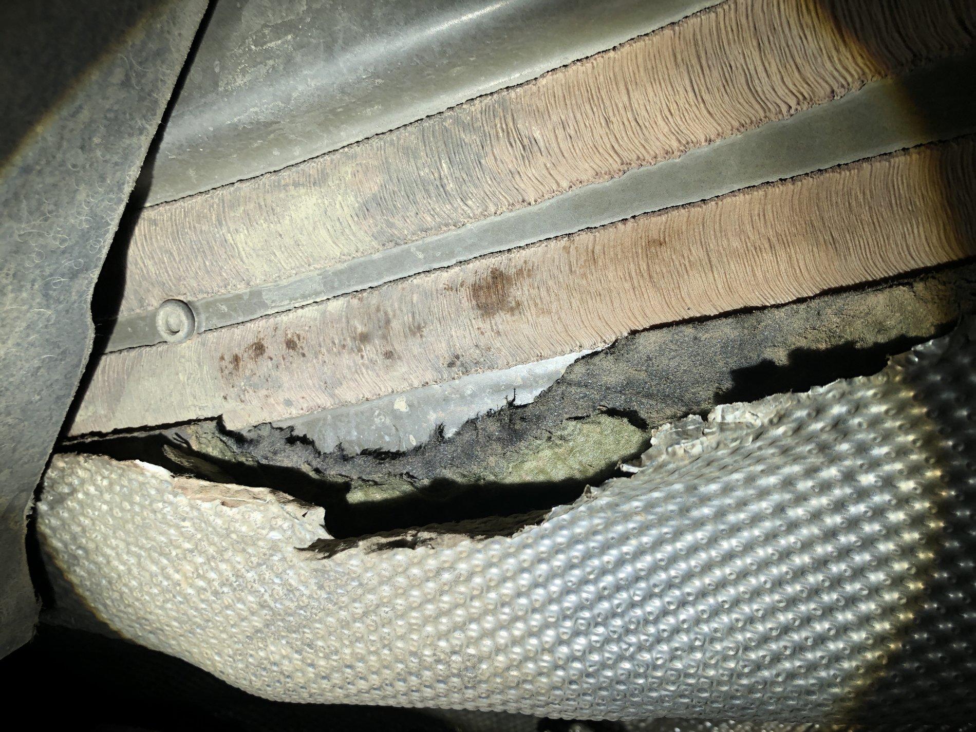 Jeep Gladiator Porcupines eating my Gladiator ! 99E759B4-7762-4CD1-9B31-1E9E51452179
