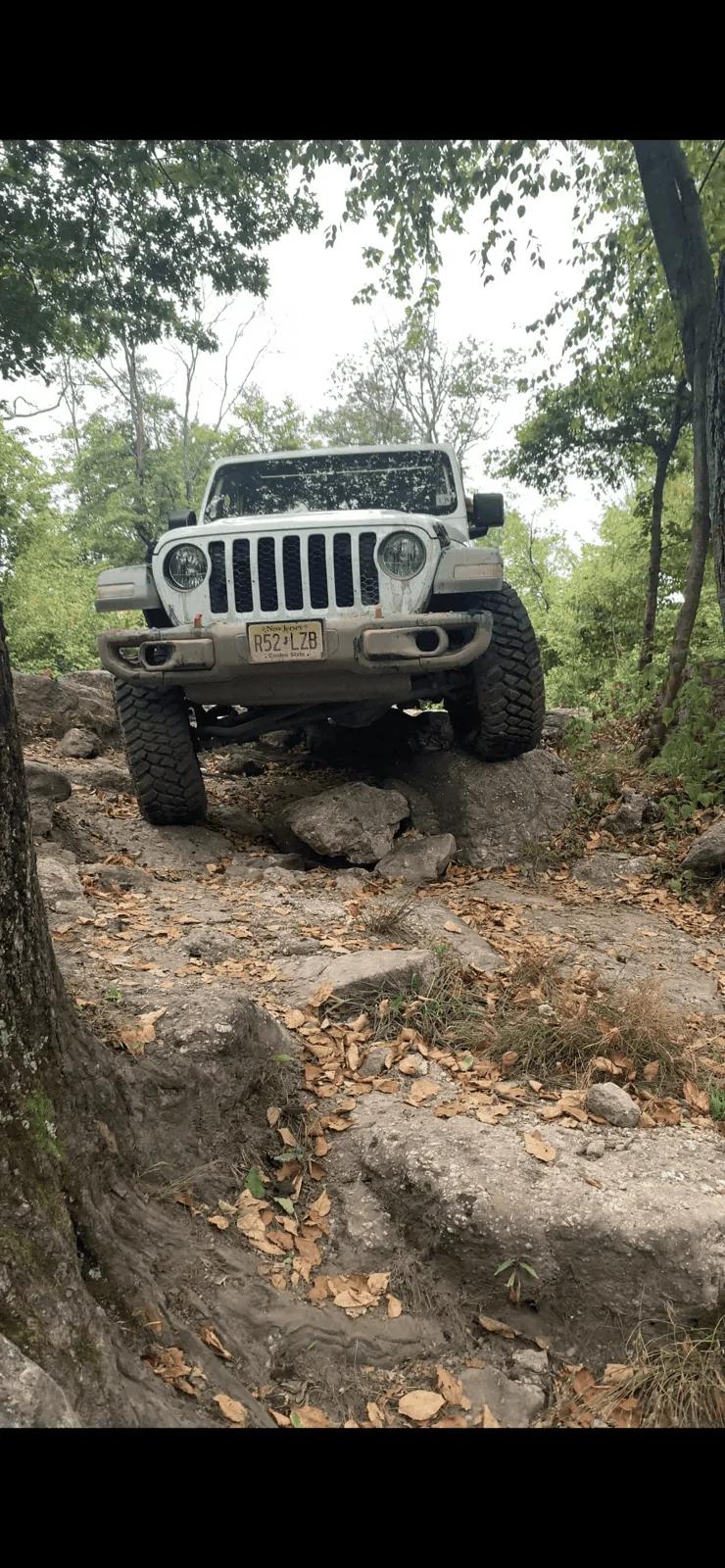 Jeep Gladiator Where did you WHEEL your Gladiator today? ACC599C4-B1A0-4383-A246-E4D97E176370