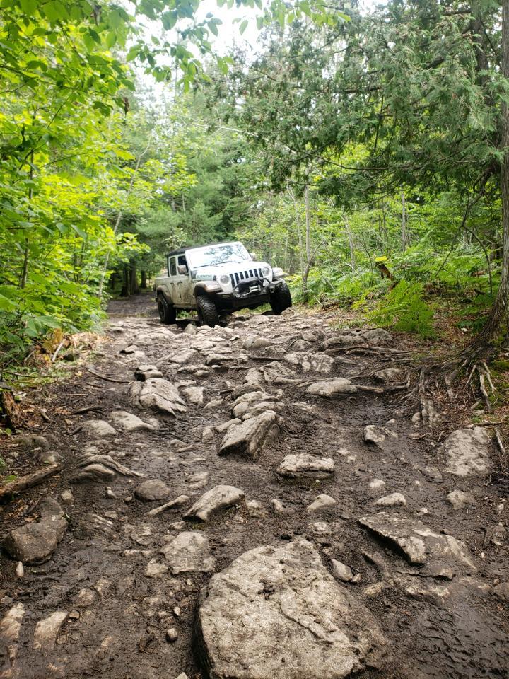 Jeep Gladiator What did you do WITH your Gladiator today? 111774