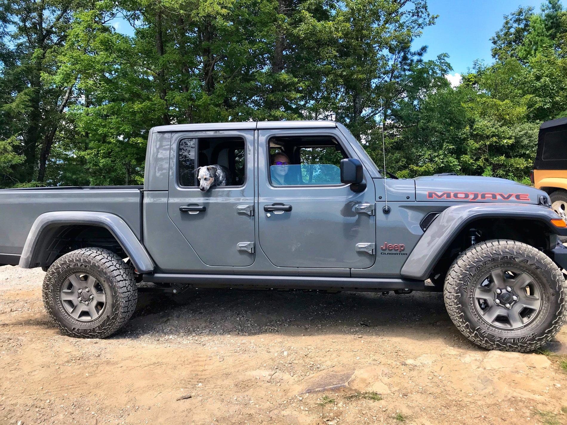 Jeep Gladiator What did you do WITH your Gladiator today? A021E99E-9510-4BC9-8B59-A366BECFF66E