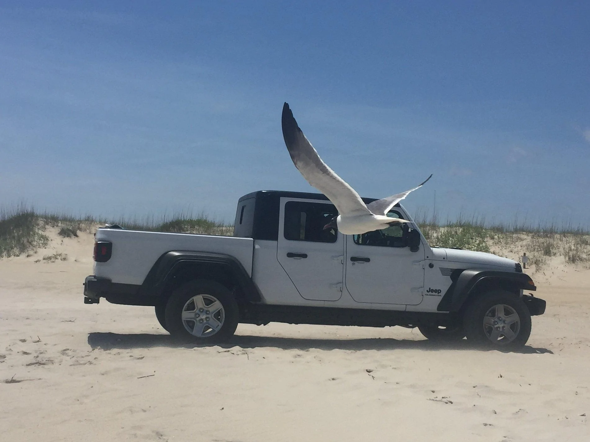 Jeep Gladiator show me your max tow. D7E3F25B-D2C0-4389-B7A4-B74D18FA7946