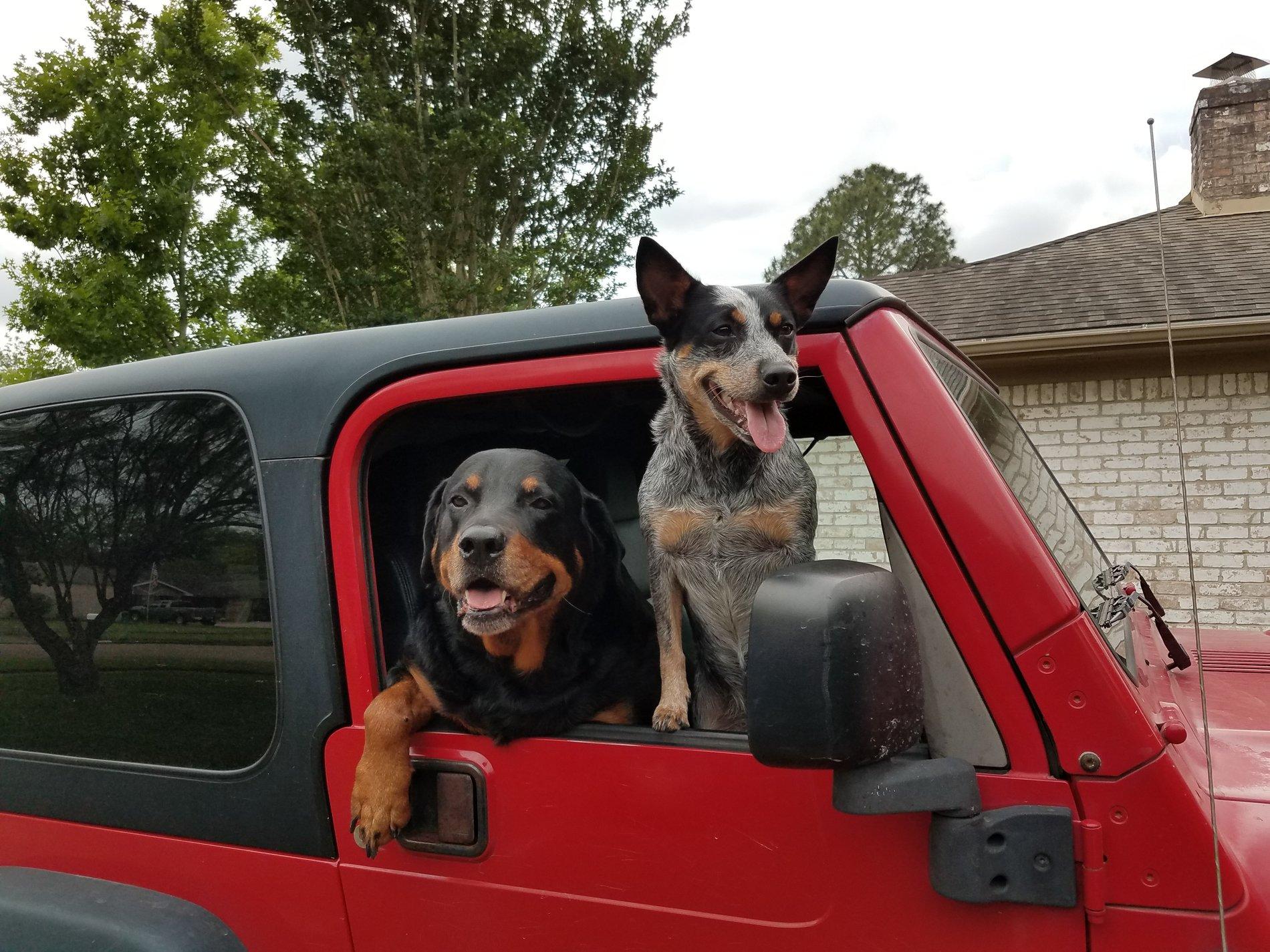 Jeep Gladiator THEFT DETERRENCE 20180420_174913