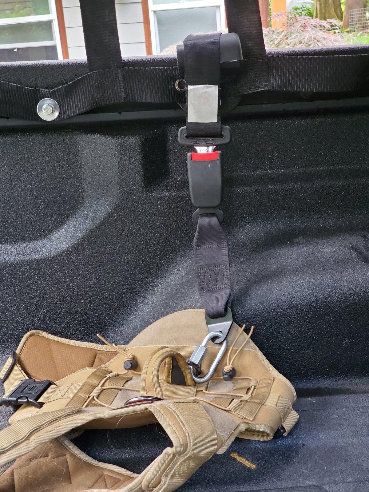 Jeep Gladiator Hauling dogs? What’s your setup? 20200812_180954