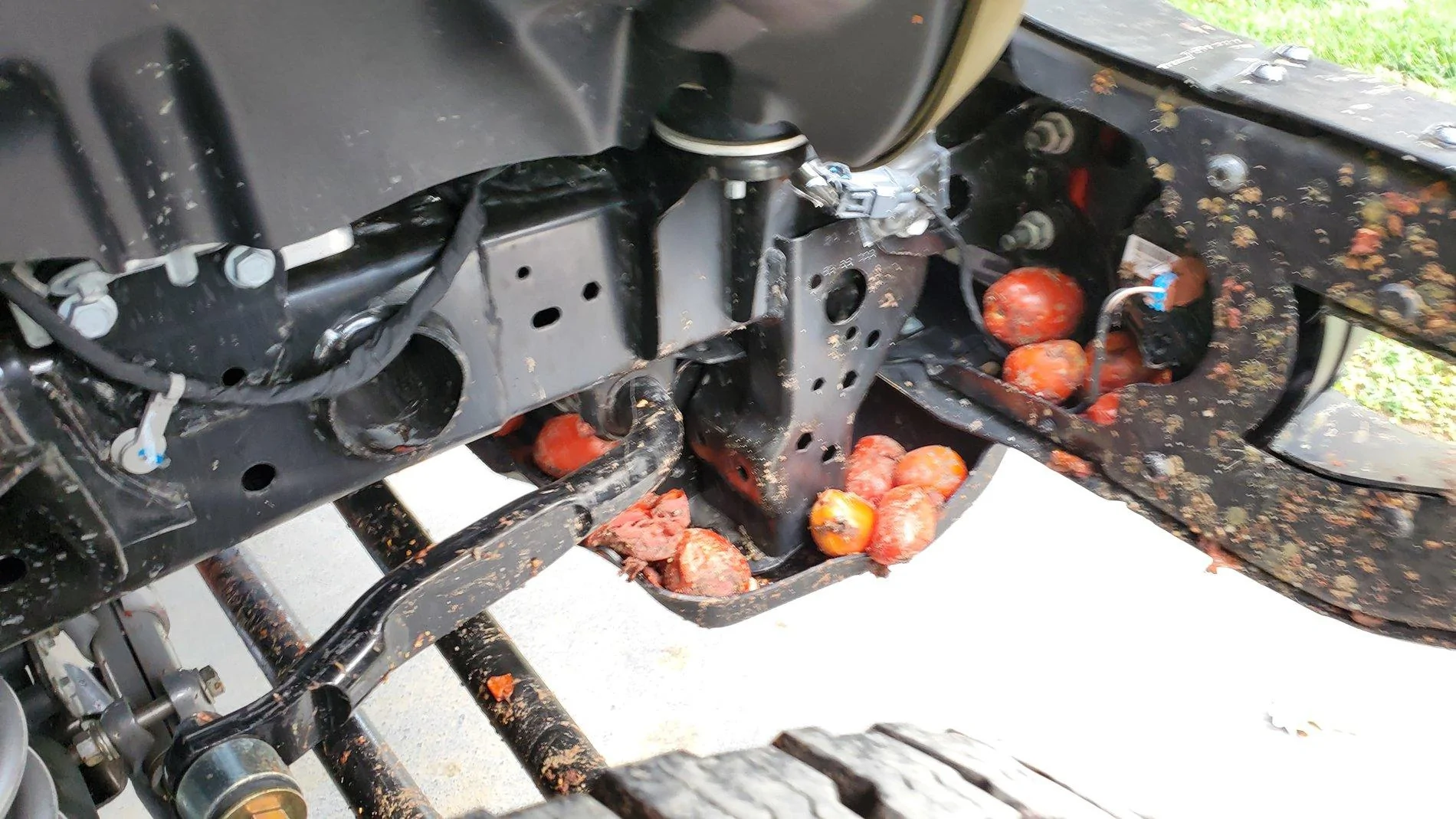 Jeep Gladiator Found a new way to pick tomatoes. 20200816_103619