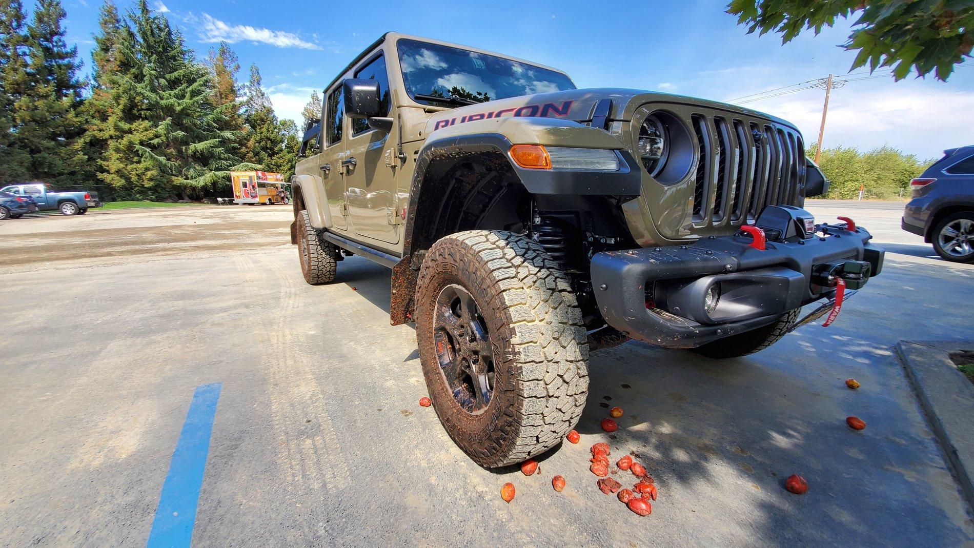 Jeep Gladiator Found a new way to pick tomatoes. 20200816_104617