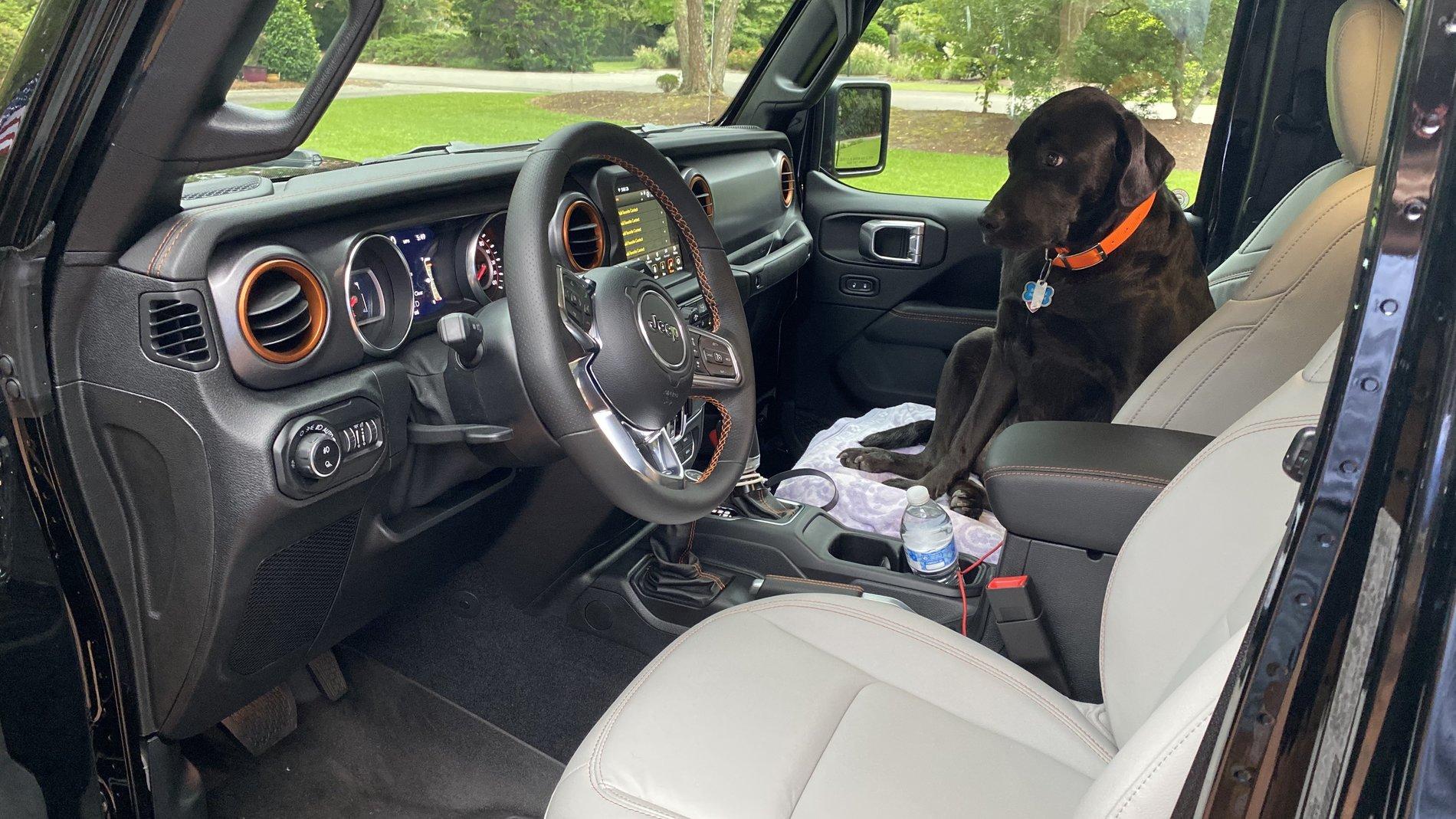Jeep Gladiator Glad(iator) Dogs! Let's see 'em! A220F088-379E-48B7-9EC1-57CC51BA588B_1_201_a