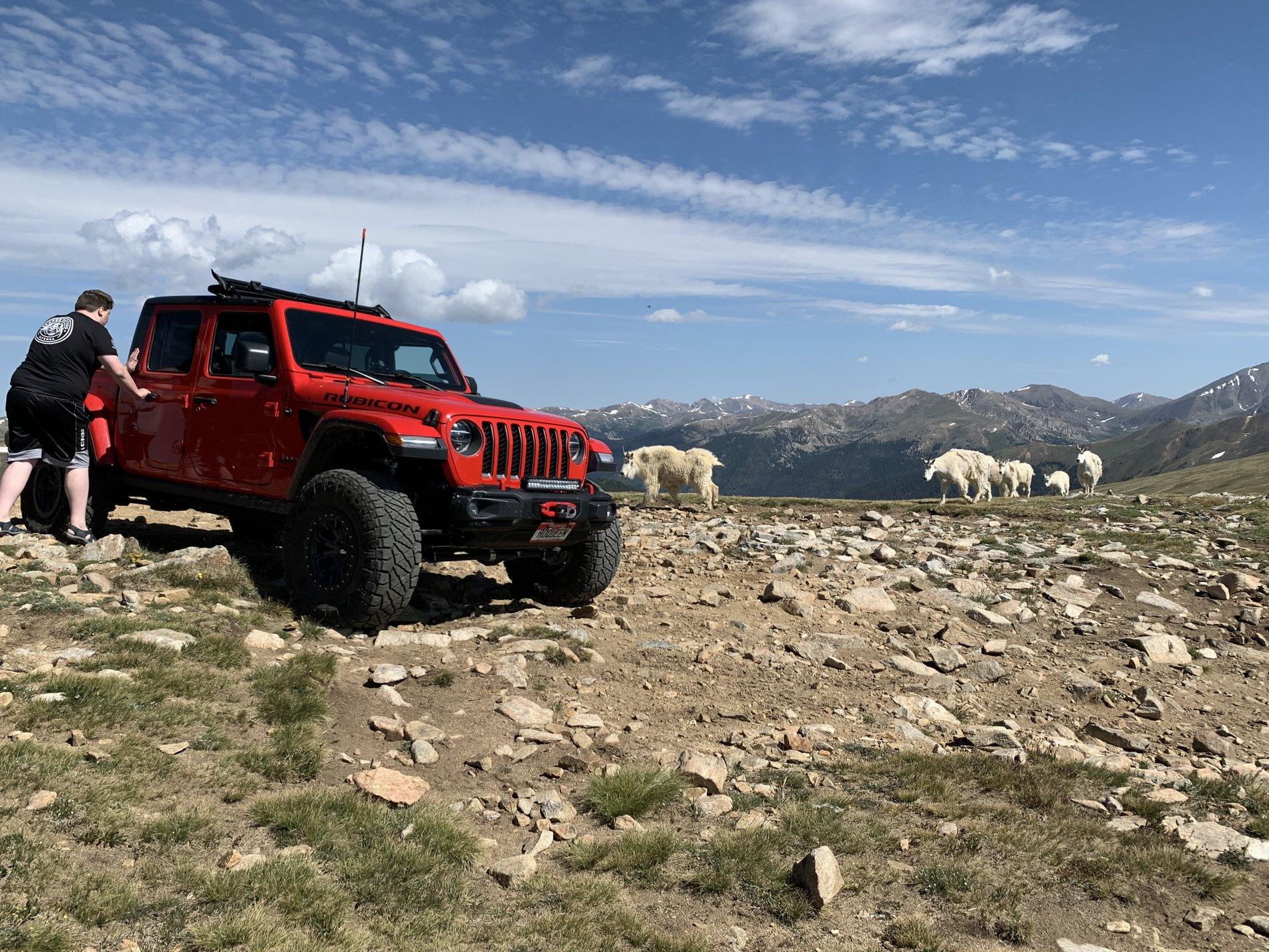 Jeep Gladiator The “Red Queen” -build and journey AFCD5CAF-7694-4E71-A4D6-BB9A39CC3F1F