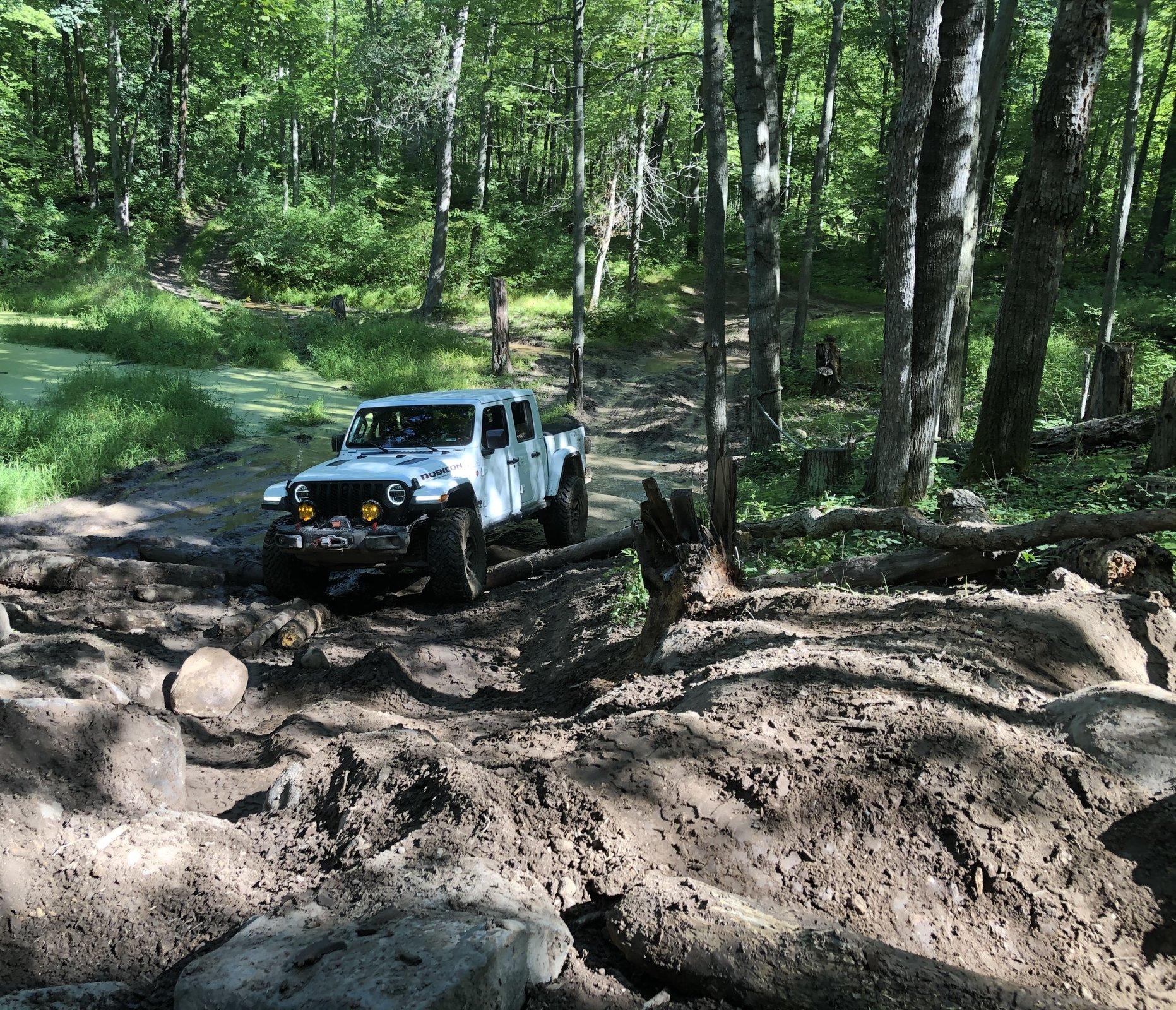 Jeep Gladiator What did you do WITH your Gladiator today? 58AECAD7-C791-4938-ADF5-F52C1B7A6C76