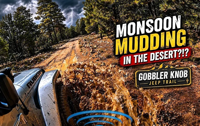 Arizona MUD!  Monsoon Mudding @ Gobbler Knob Jeep Trail .... :clap: