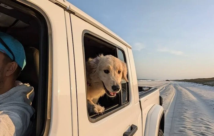 Let’s see your pets cause they are the best companion you can have!!!!!