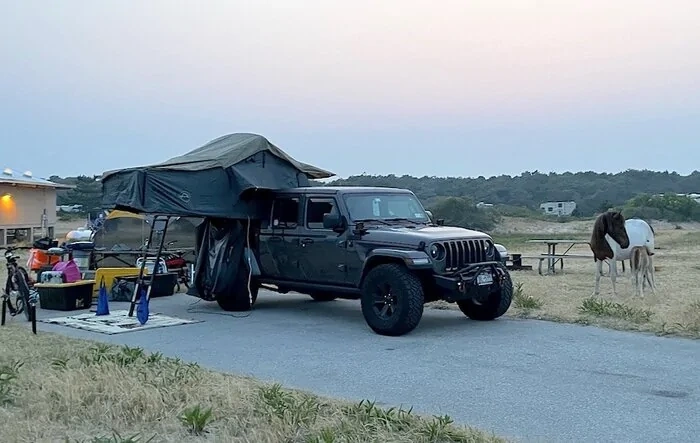 Gladiator Camping w/ Wild Horses of Assateague State Park