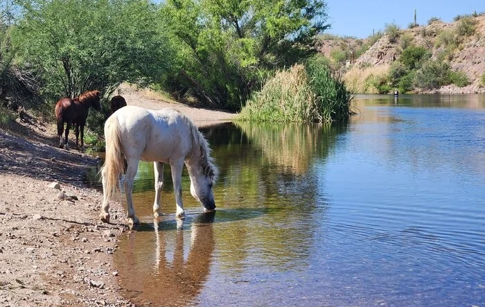 More AZ Road trip photos.