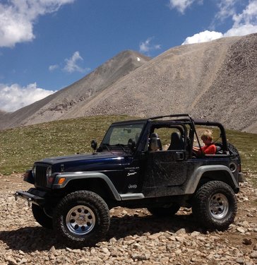 The Chameleon