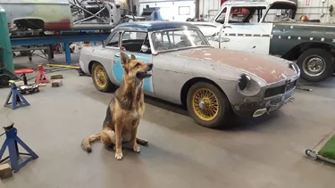 MGB Race Car