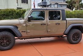 Gator
