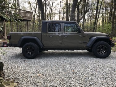 Gator