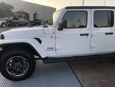 Black sheep the white jeep