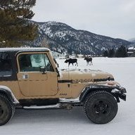 cgoodwin0990