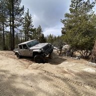 ndn384