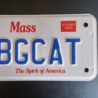 Big Cat USA