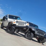 ThatStinging_Jeep