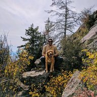 adognamedgoose