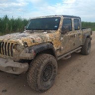 Rattlesnake