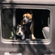 DukeJeep