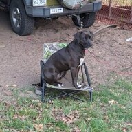 Birddog1148