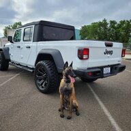 K9Joe