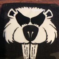 The Beav