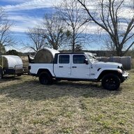 Steed