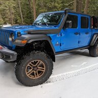 Z16DNA