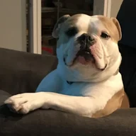 swtrailboss