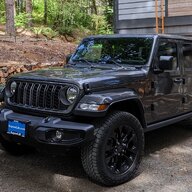 Dp7